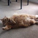 Jeremy Eade - @jeremyeadeSIR - Twitter