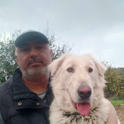 OztorunY's profile picture. Okur, yazmaz, anlamaya çalışır, Emekli...