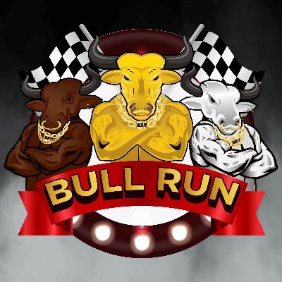 Bull Run