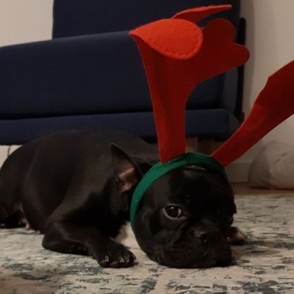 Marlajegladna's profile picture. 