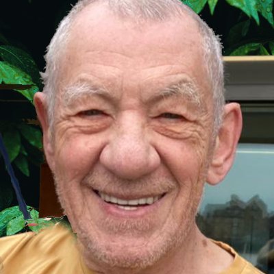 Ian McKellen