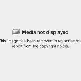 Design_Loar's profile picture. 