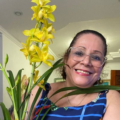 Fiz Licenciatura em História pela UCSal e Desenho e Plástica pela UFBA.Cursei Extensão em Psicopedagogia na FTC e estou cursando Pós em EAD na FAVENE.