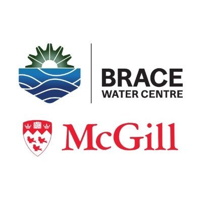 The Center's goal is to bring together McGill researchers and students who deliver impactful research to solve the water-related challenges of our time