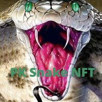PK Snake NFT(@Mudassi21534365) 's Twitter Profile Photo