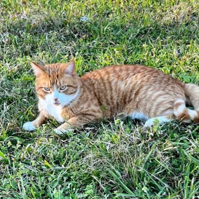 agapeach84's profile picture. Georgia Peach libertarian fiscal conservative Entomologist/Biologist/Educator