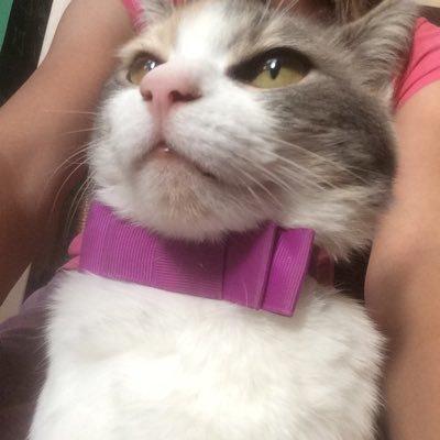 bougues83's profile picture. Eteindre la télé et ouvrir les https://t.co/pd5enlsB2U liberté est en train de disparaître sous nos yeux… le dormeur doit se réveiller…