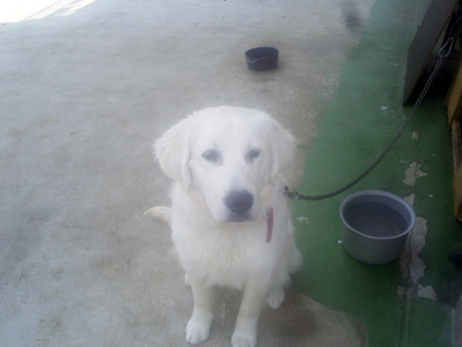 moon101712's profile picture. 농사꾼 열수 한사랑 농원