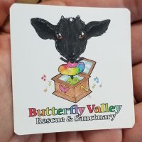 Butterfly Valley Rescue & Sanctuary(@BVRescue) 's Twitter Profile Photo