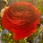 itsmaire's profile image