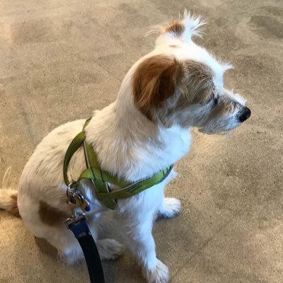 murphy6_rosalia's profile picture. 