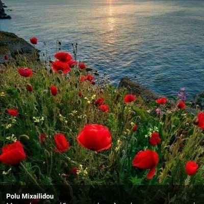 Spanou_'s profile picture. 