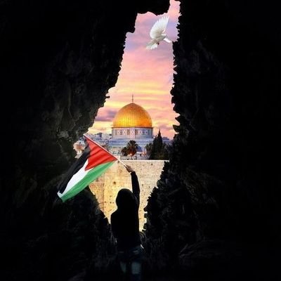 Palestinian 
#FreePalestine🇵🇸
VPalestine✌
