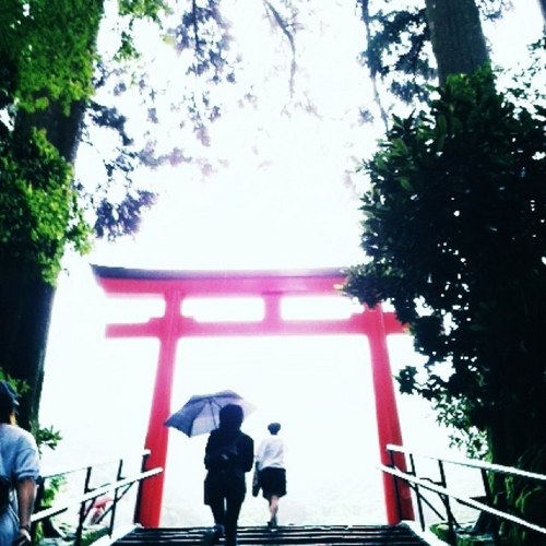 kic1220's profile picture. 日行一善、一期一会