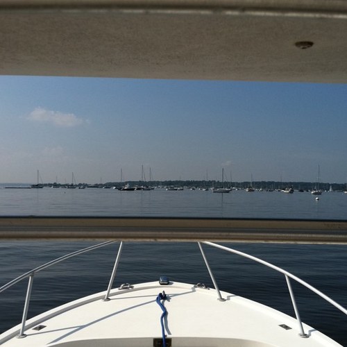 dblair42's profile picture. always in tune....