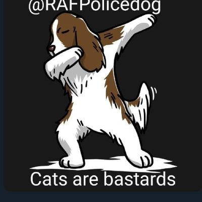 Foul mouthed, hat wearing cynical RAF (Retired)Police dog. ©️All My Sayings!#Binjuice Inventor 🔞@thetimes viral tweet of Feb ‘19 Often imitated, never bettered