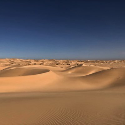 c4akib's profile picture. 