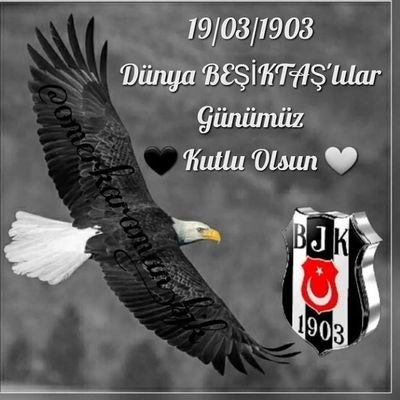 ayse_svml1's profile picture. Acı yaşta değil, ruhtadır 👍✨