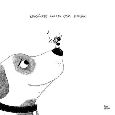 Ale_moreg's profile picture. 