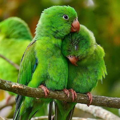 Amoureux de la nature, des animaux, de la science, de la médecine, et de la Vie... 💛🧡❤