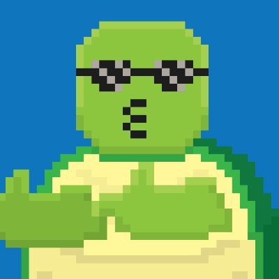 8DTurtles Profile Picture