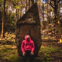 Steve Ronin (@steveronin_) 's Twitter Profile