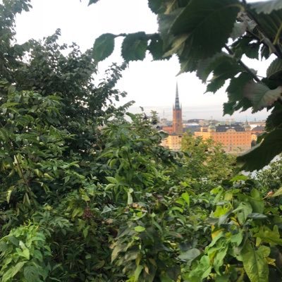 lwilliams_aero's profile picture. Advocate of #digitaldiplomacy and random acts of kindness.