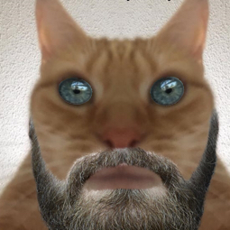 himboruckman's profile picture. 