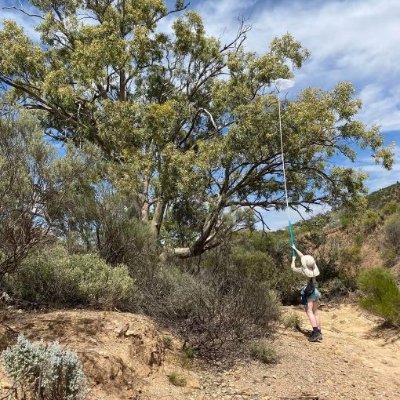 Casual academic and professional postgrad @Flinders | Entomology Enthusiast @Aust_Ent_Soc | (she/her)