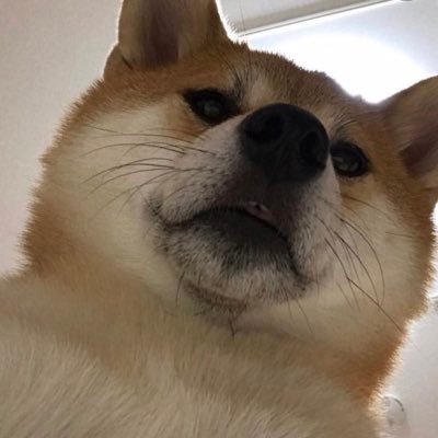 Debbi54323621's profile picture. 