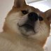 Debbi (@debbi54323621) Twitter profile photo Debbi (@debbi54323621) Twitter profile photo