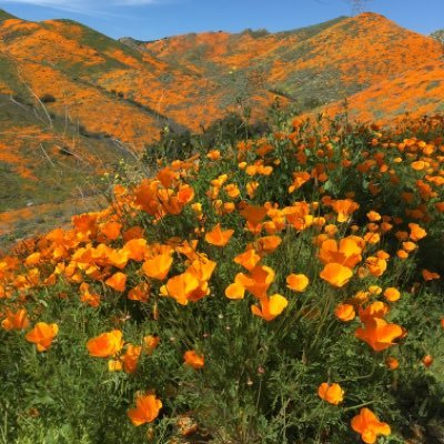 Climate change is impacting our lives around the 🌐 - the NEWS just brings it into focus. Let’s Connect and Act for our Future. Saturdays 1700GMT 0900PT 1200ET