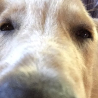 jsnsbshow's profile picture. mmm