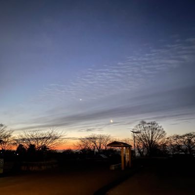 shovel_star's profile picture. 