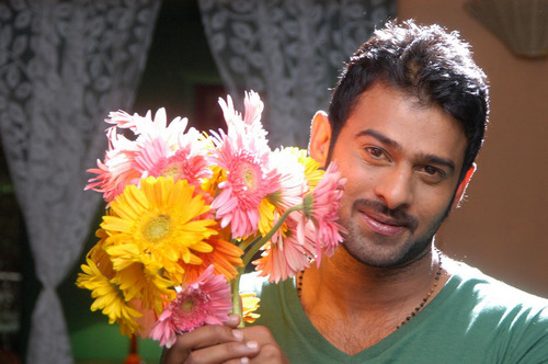 prabhasdhf's profile picture. ρгαвнαร гαjυ υρραlαρατι ωαѕ вσяη ση σcт 23, 1979 αη ιηdιαη тσℓℓуωσσd ƒιℓм α¢тσя. 
https://t.co/QluxZgkOhI