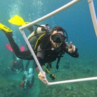 Diego (@divewithdiego) 's Twitter Profile