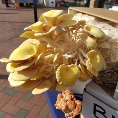 Baltimore's BEST Waterfront Farmers Market in the 💚 of Fell's Point! Join us every Sat. thru April 8:00 a.m-12:30 p.m. Summer hours start May 7th...check back