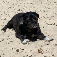 Simsta (@simsterrrrr) 's Twitter Profile