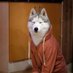 Raikan (@infamous_furry) Twitter profile photo Raikan (@infamous_furry) Twitter profile photo