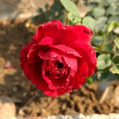 Da1Anand's profile picture. Creating my own sunshine