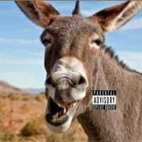 Brandon Hannibal Donkey(@bhdonkey1) 's Twitter Profile Photo