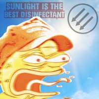 Sunlight Anti-Fascist Action(@SunlightAFA) 's Twitter Profile Photo