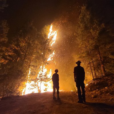 Engagement Analyst @SFUDialogue - Mitigating Wildfire Initiative | Passionate about building rural resilience | Skier, runner and reader at heart