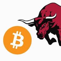 Daily Crypto Bull 🥷(@DailyCryptoBull) 's Twitter Profile Photo