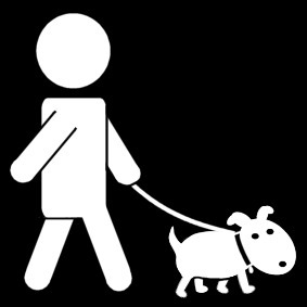 YOPASEOATUPERRO's profile picture. Una Negocio que nacio por el amor a los perros, nosotros le damos el paseo a tu perro desde 30min a 1 hora, quitandole a tu perro su stress y su ansiedad.