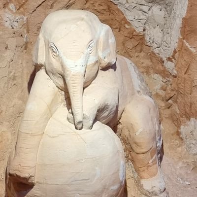 SueWise78591796's profile picture. Love to much