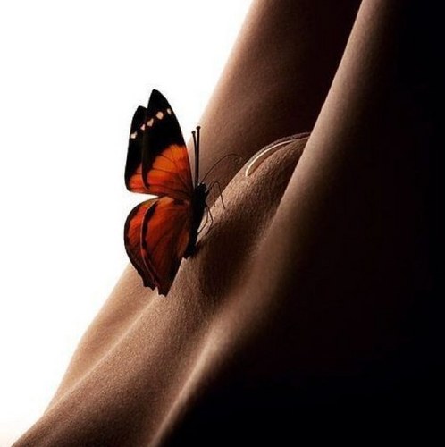 lover_dankal's profile picture. 세컨/사정이 목적이 아닌 감정의 교류가 함께하는 섹스를 더 사랑하는.... 남자