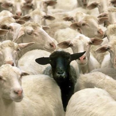 CryptoFreeSyst1's profile picture. *Marketing Digital 💻
*Travel 🛫
*Blockchain 🔗
*Cannabis Activist🍁