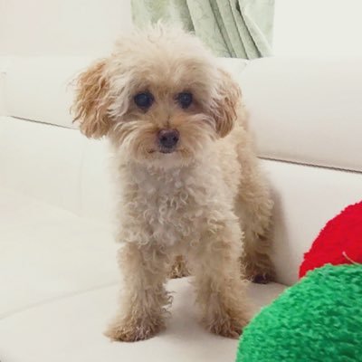 dish_7's profile picture. 餃子☞生ハム☞明太子