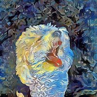 maddogmemeNFT (@maddogmemnft) 's Twitter Profile Photo maddogmemeNFT (@maddogmemnft) 's Twitter Profile Photo
